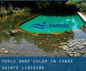 Pools-ohne-chlor in Condé-Sainte-Libiaire