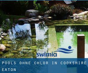 Pools-ohne-chlor in Cookshire-Eaton