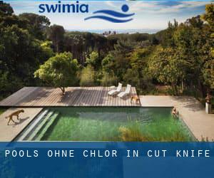 Pools-ohne-chlor in Cut Knife