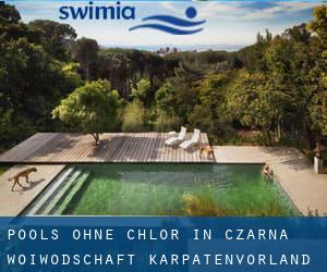 Pools-ohne-chlor in Czarna (Woiwodschaft Karpatenvorland)