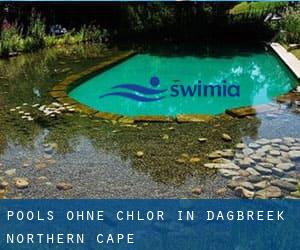 Pools-ohne-chlor in Dagbreek (Northern Cape)