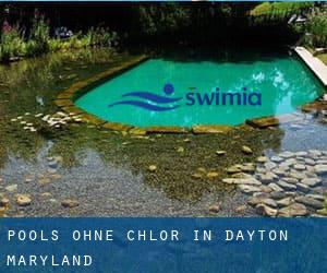 Pools-ohne-chlor in Dayton (Maryland)