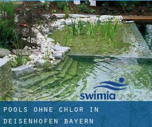 Pools-ohne-chlor in Deisenhofen (Bayern)