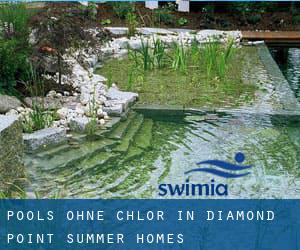 Pools-ohne-chlor in Diamond Point Summer Homes