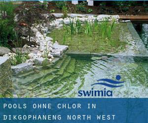 Pools-ohne-chlor in Dikgophaneng (North-West)