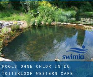 Pools-ohne-chlor in Du Toitskloof (Western Cape)