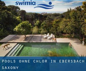 Pools-ohne-chlor in Ebersbach (Saxony)