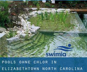 Pools-ohne-chlor in Elizabethtown (North Carolina)