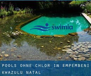 Pools-ohne-chlor in Empembeni (KwaZulu-Natal)