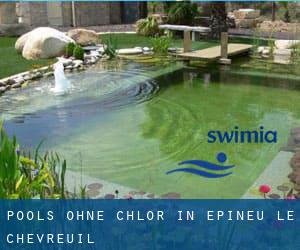 Pools-ohne-chlor in Épineu-le-Chevreuil