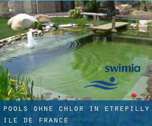 Pools-ohne-chlor in Étrépilly (Île-de-France)