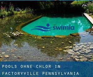 Pools-ohne-chlor in Factoryville (Pennsylvania)