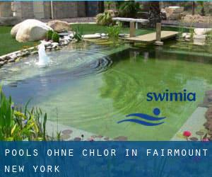 Pools-ohne-chlor in Fairmount (New York)