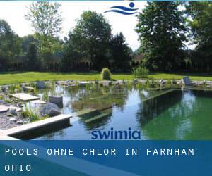 Pools-ohne-chlor in Farnham (Ohio)