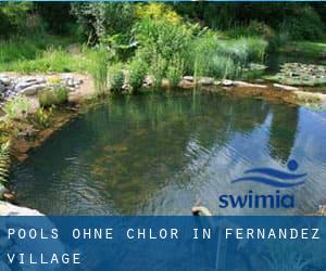 Pools-ohne-chlor in Fernandez Village