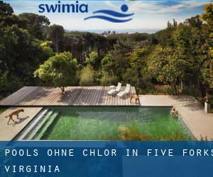 Pools-ohne-chlor in Five Forks (Virginia)