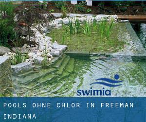 Pools-ohne-chlor in Freeman (Indiana)