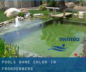 Pools-ohne-chlor in Fröndenberg