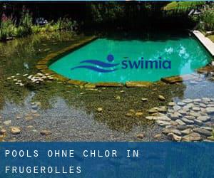 Pools-ohne-chlor in Frugerolles