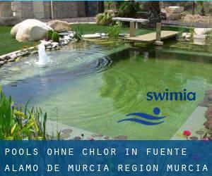 Pools-ohne-chlor in Fuente Álamo de Murcia (Region Murcia)