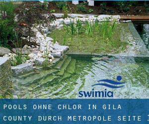 Pools-ohne-chlor in Gila County durch Metropole - Seite 1