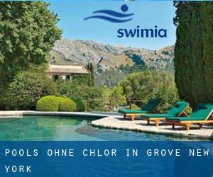 Pools-ohne-chlor in Grove (New York)