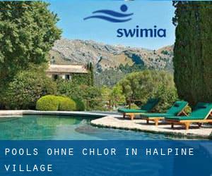 Pools-ohne-chlor in Halpine Village