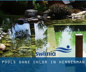 Pools-ohne-chlor in Hennenman