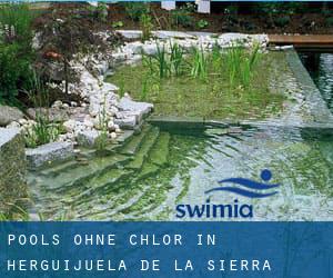 Pools-ohne-chlor in Herguijuela de la Sierra