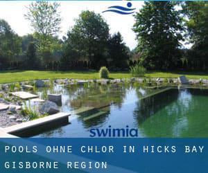 Pools-ohne-chlor in Hicks Bay (Gisborne Region)