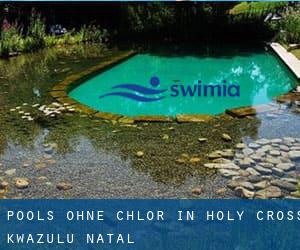 Pools-ohne-chlor in Holy Cross (KwaZulu-Natal)