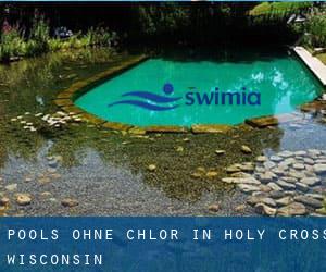 Pools-ohne-chlor in Holy Cross (Wisconsin)