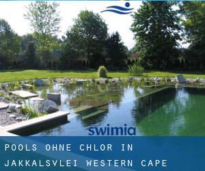 Pools-ohne-chlor in Jakkalsvlei (Western Cape)