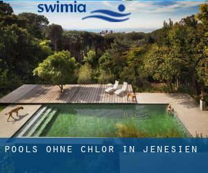 Pools-ohne-chlor in Jenesien