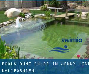 Pools-ohne-chlor in Jenny Lind (Kalifornien)