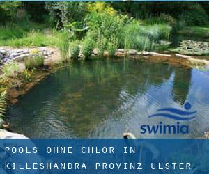 Pools-ohne-chlor in Killeshandra (Provinz Ulster)