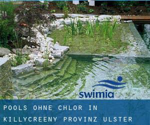 Pools-ohne-chlor in Killycreeny (Provinz Ulster)