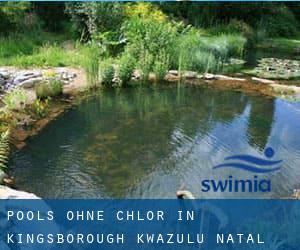 Pools-ohne-chlor in Kingsborough (KwaZulu-Natal)