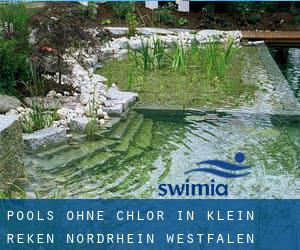 Pools-ohne-chlor in Klein Reken (Nordrhein-Westfalen)