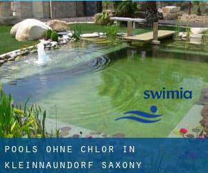 Pools-ohne-chlor in Kleinnaundorf (Saxony)