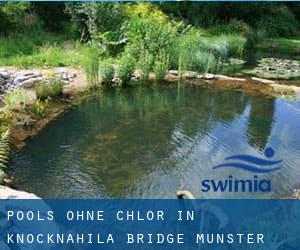 Pools-ohne-chlor in Knocknahila Bridge (Munster)