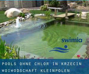 Pools-ohne-chlor in Krzęcin (Woiwodschaft Kleinpolen)