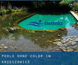 Pools-ohne-chlor in Krzeszowice