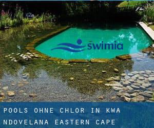 Pools-ohne-chlor in Kwa-Ndovelana (Eastern Cape)