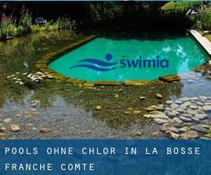 Pools-ohne-chlor in La Bosse (Franche-Comté)