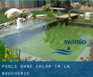 Pools-ohne-chlor in La Boucherie