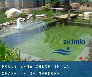 Pools-ohne-chlor in La Chapelle-de-Mardore