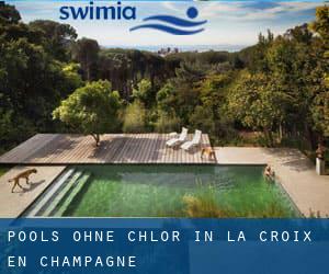 Pools-ohne-chlor in La Croix-en-Champagne