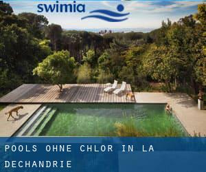 Pools-ohne-chlor in La Déchandrie