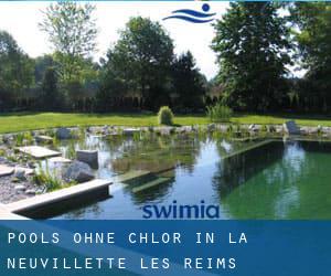 Pools-ohne-chlor in La Neuvillette-lès-Reims